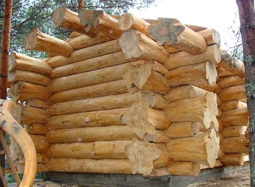 Дома из бревен красивы, прочны, теплоустойчивы и комфортны для проживания. Благодаря современным способам обработки бревна. венцы имеют минимальные зазоры. Бревна могут быть как естественной формы (